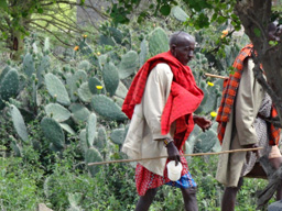 Maasai Man Walking